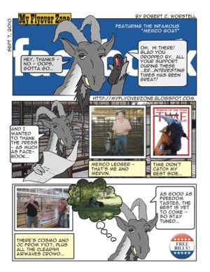 Idioms, Cartoons, Humorous Drawings